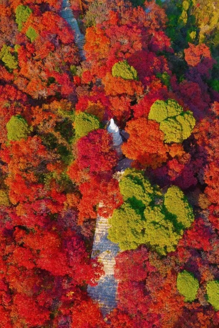 石门坊秋景